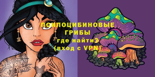 прущие крисы Краснотурьинск